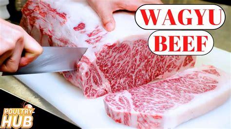 Guide to Wagyu Beef: How to Cook Wagyu Steaks - balustradellc