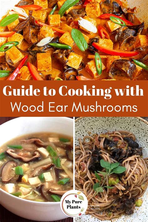 Guide to Wood Ear Mushrooms + 11 Recipes - My Pure Plants - balustradellc