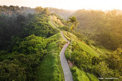 Guided Rainforest Hikes In Bali - Seminyak Bali Guide: … - balustradellc