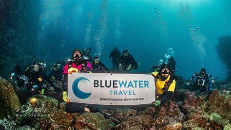 Guided Scuba Diving Trips — Bluewater Dive Travel - raincitystudios.com