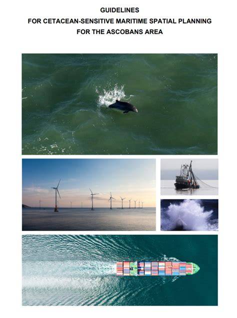 GUIDELINES FOR CETACEAN-SENSITIVE MARITIME SPATIAL … - raincitystudios.com