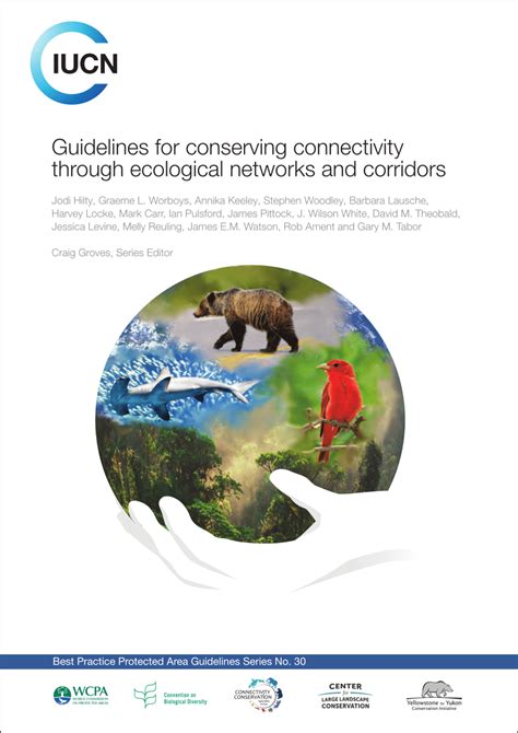 Guidelines for conserving connectivity through … - wintechmobiles.com