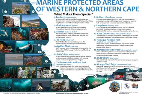 Guidelines for Marine MPAs are needed in all parts of the Protected ... - wintechmobiles.com