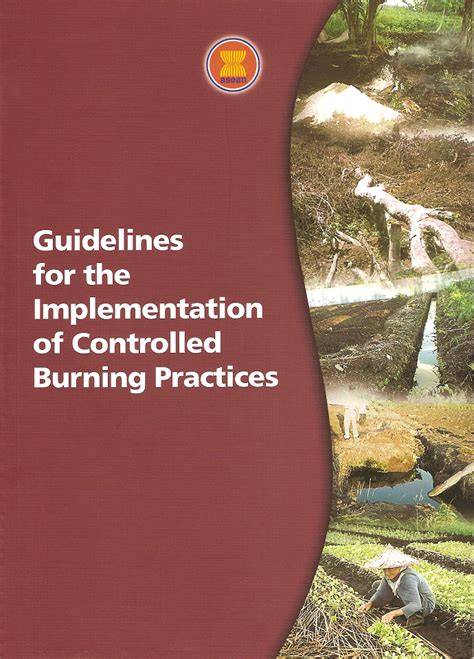Guidelines for the Implementation of Controlled Burning Practices - raincitystudios.com