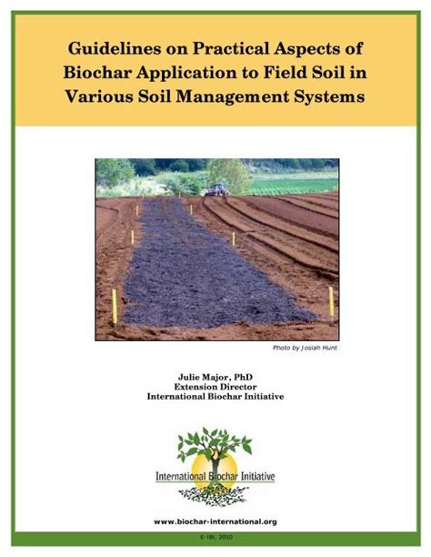 Guidelines on Practical Aspects of Biochar Application to Field Soil in ... - raincitystudios.com