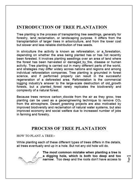 Guidelines on Tree PlanTaTion - raincitystudios.com