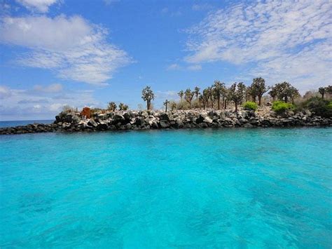 GUIDING GALAPAGOS EXPEDITIONS (Puerto Ayora)