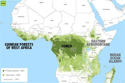 Guinean Forests of West Africa | CEPF - raincitystudios.com