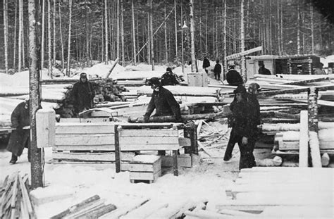 Gulag: Soviet Forced Labor Camps and the Struggle for Freedom - wintechmobiles.com