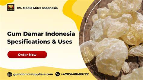 Gum Damar Indonesia : Specifications and Uses - raincitystudios.com