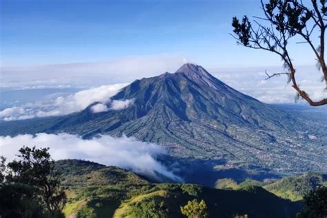 Gunung Merbabu: Panduan Lengkap untuk Pemula - balustradellc