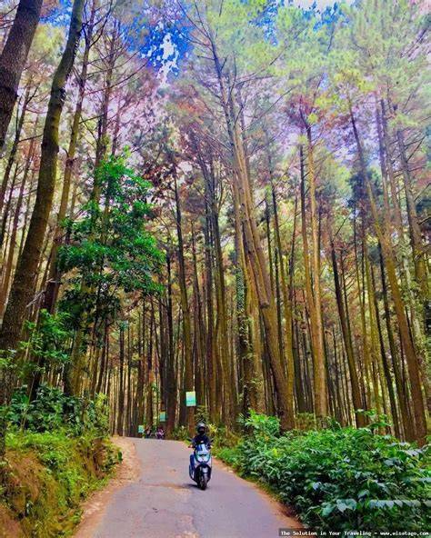 GUNUNG PANCAR - WAJIB Baca Ini Sebelum … - raincitystudios.com