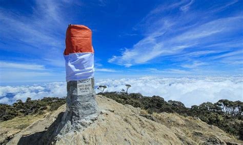 Gunung Rantemario (Mount Latimojong) : Climbing, Hiking ... - balustradellc