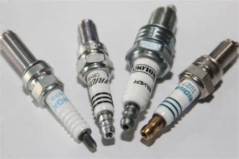 Gusi Motor - balustradellc