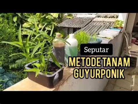 guyurponik > Videos - PLAYBOARD - balustradellc