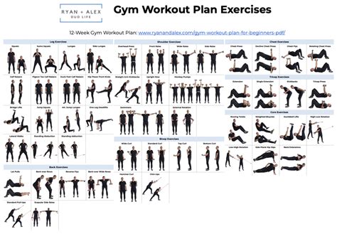 Gym Workout Plan for Beginners PDF - Ryan and Alex - balustradellc
