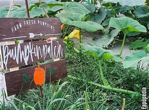 🍑 G_Luna Onlyfans Leaked XxX