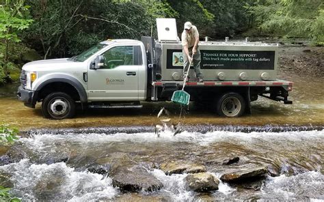 Check Out the Latest Trout Stocking Report! The Georgia DNR Wildlife Resources Division (Fisheries Management Section) and the U.S. Fish & Wildlife Service stock streams with trout for anglers to enjoy. The number of trout stocked and the stocking frequency depend on a stream's fishing pressure, accessibility, and water conditions.. 