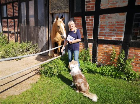 Gabi Meyer Leaks [HD] 🍌 34 Vids