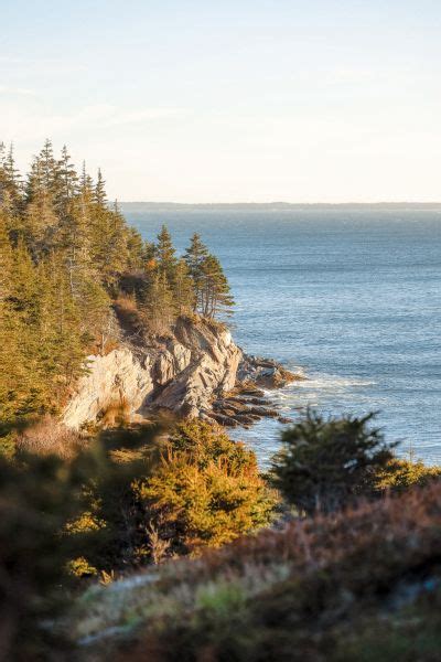 Gaff Point Things to Do Lunenburg Region