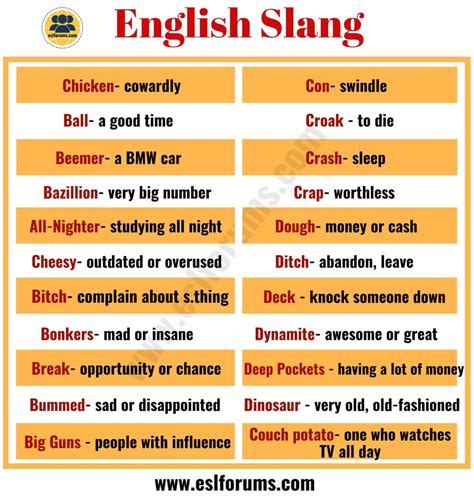 Some use slang to efficiently get a point across or to express their feelings. That survey found that friends are the leading source for learning new slang followed by entertainment media (TV .... 