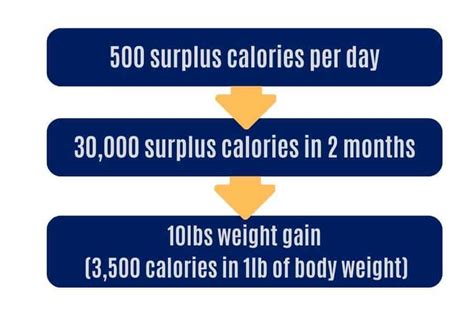 Gain 10lbs In 2 Months: Why It