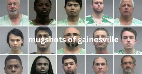 Gainesville fl mugshots today. com. org.  Free arrest record search.  >Fl...
