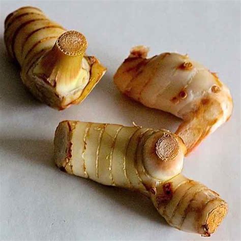 Galangal - Ingredient 196 flavors