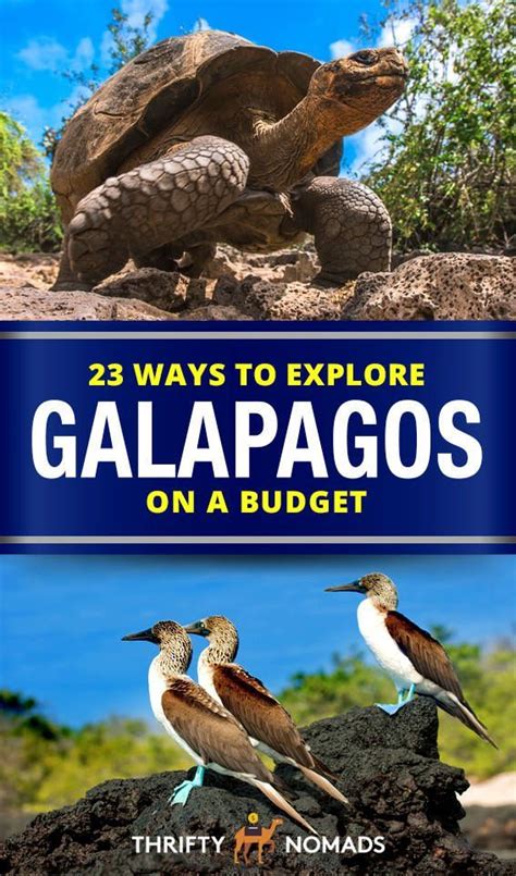 Galapagos on a budget? : galapagos - Reddit