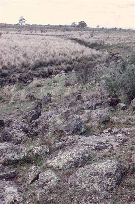 Galgi Ngarrk - Curly Sedge Creek - 1990 and 2015