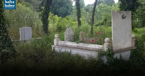 Galip Halı ve Koltuk Yıkama