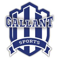 Gallant Sports & Infra Pvt Ltd - Sports Infrastructure Solution …