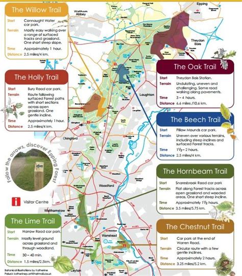 Galley Hill, Epping Forest - area information, map, walks and more