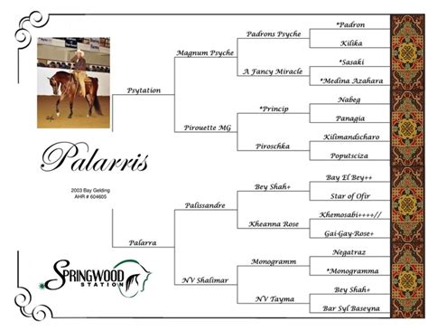 Gallina Horse Pedigree