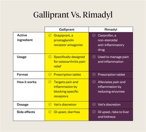 Galliprant vs. Rimadyl Comparison PetMeds®