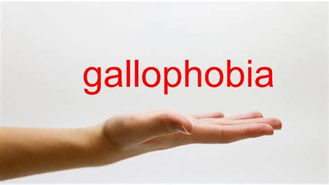 Gallophobia Definition & Meaning - Merriam-Webster