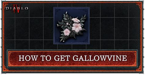 Gallowvine. Found a lot of herbs and also got the elixirs and herb quest rewards. Whispers also give a good number of herbs. So, anytime they coincide with a quest, helltides, or nm dungeon you have a key for, go do them. Running around the pvp zones, they have the herbs from all regions. Also, seething abomination and the purifying shards … 