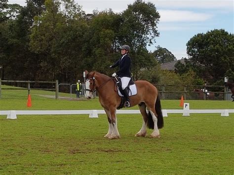 Galston Equestrian Club - Overview, News & Competitors