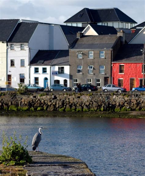 Galway City Tours - walking tours- boat tours - private …