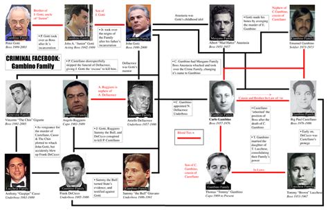 Sep 23, 2021 - Explore Keith Monticello's board "Gambino Family Charts" on Pinterest. See more ideas about crime family, organized crime, mobster.. 