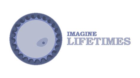 Game Imagine Lifetimes