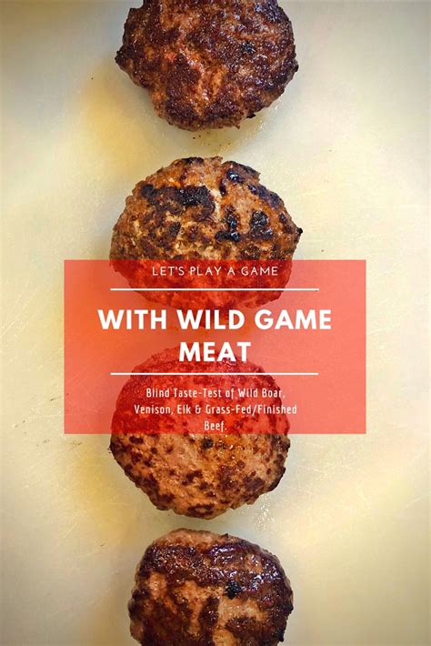 Game On... A Wild Game Meat Taste Test! A SITE WITH A BITE!