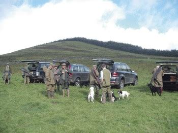 Game shooting at Langholm, Dumfries & Galloway - Shooting UK