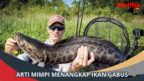 Game slot casino online resmi. Mimpi nangkap ikan gabus.