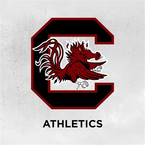 The <strong>South Carolina Gamecocks women's soccer</strong> team represents the University of South Carolina and competes in the Southeastern Conference. . Gamecocksonline