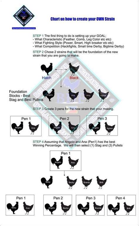 FREE BREEDERS CHART ENJOY YOUR DEFECTS AND DISQUALIFICATIONS CHART I encourage you to study this chart and use it to make sure your fowl are free of defects.. 