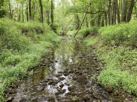 Ganargua Creek - Wikipedia