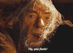 Gandalf Run You Fools Gif GIFs Tenor