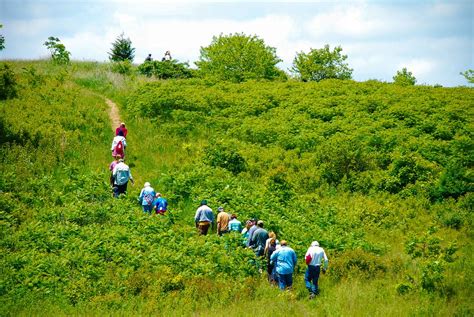 Gander Mountain Lake County Forest Preserves