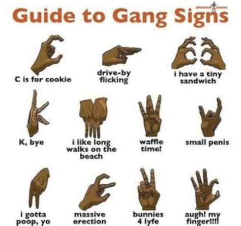 Gang signs meme. Alongside gang-specific or prison-specific tattoos, there are a number of symbols and designs that can carry universal meanings in the criminal underworld. Tiger – power and strength. Spider web – time spent in prison or time spent ‘caught in the web’ of the inescapable gang lifestyle. Three dots – arranged in a triangle, they stand ... 